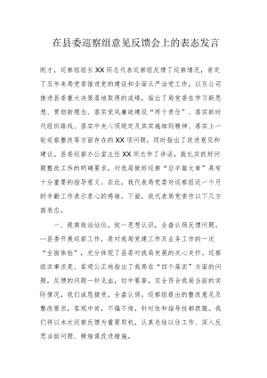 在县委巡察组意见反馈会上的表态发言.docx