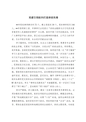 【经验总结】党建引领航向 打造律政先锋.docx