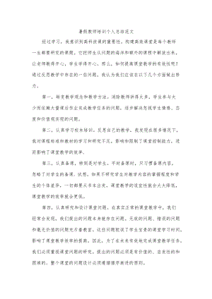 暑假教师培训个人总结范文.docx