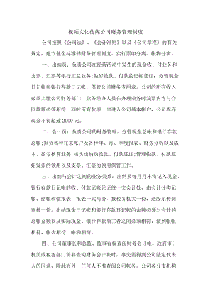 视频文化传媒公司财务管理制度.docx