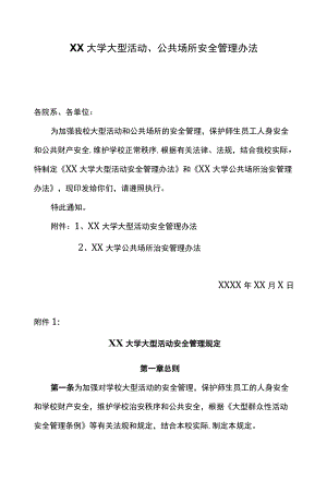 XX大学大型活动、公共场所安全管理办法.docx