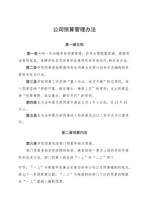 公司预算管理办法.docx