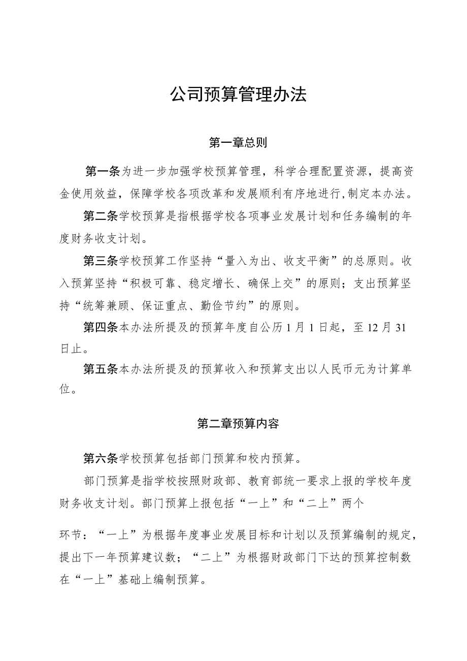 公司预算管理办法.docx_第1页