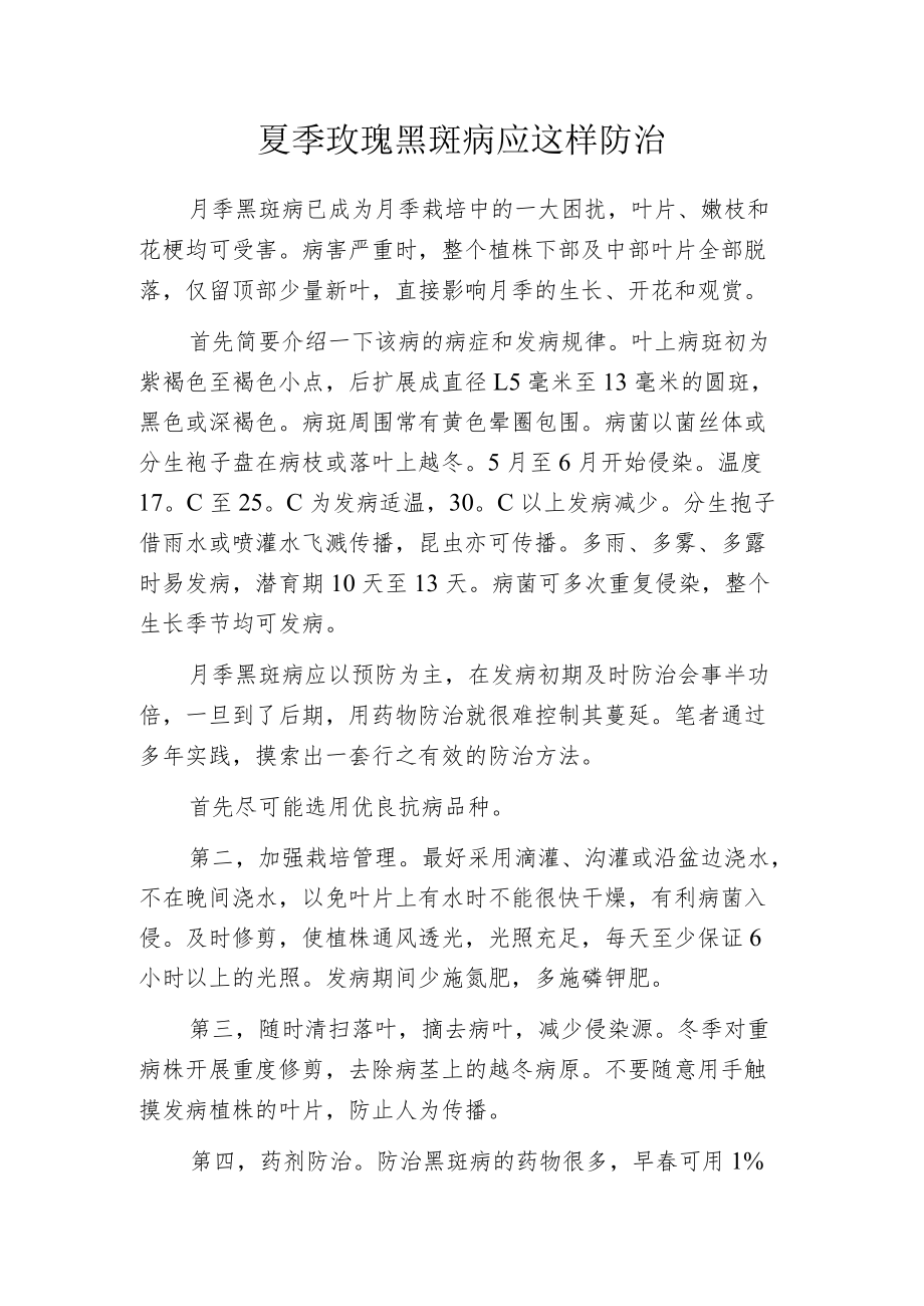 夏季玫瑰黑斑病应这样防治.docx_第1页