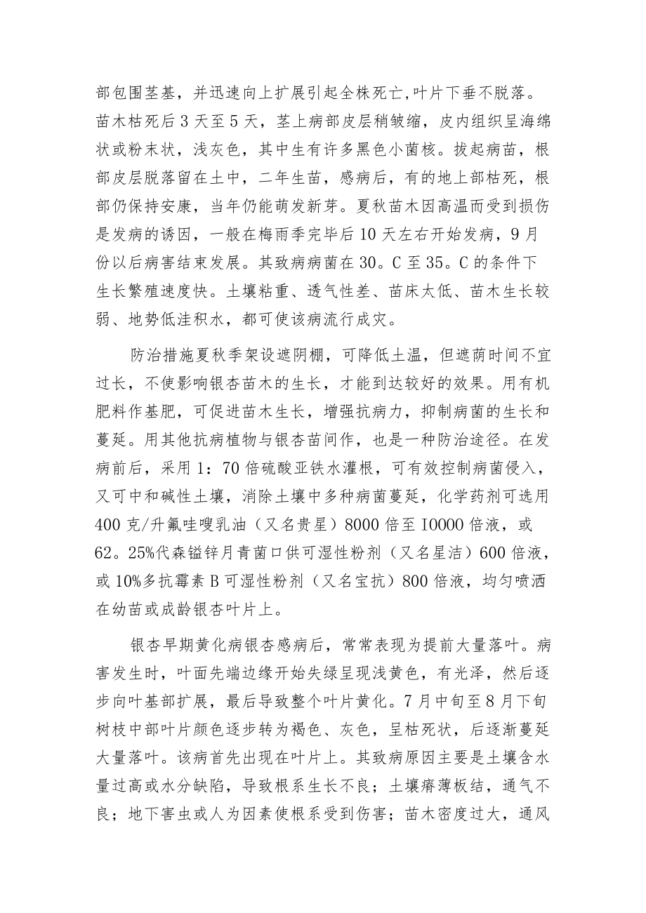 夏季银杏谨防三种病害及如何防治.docx_第2页