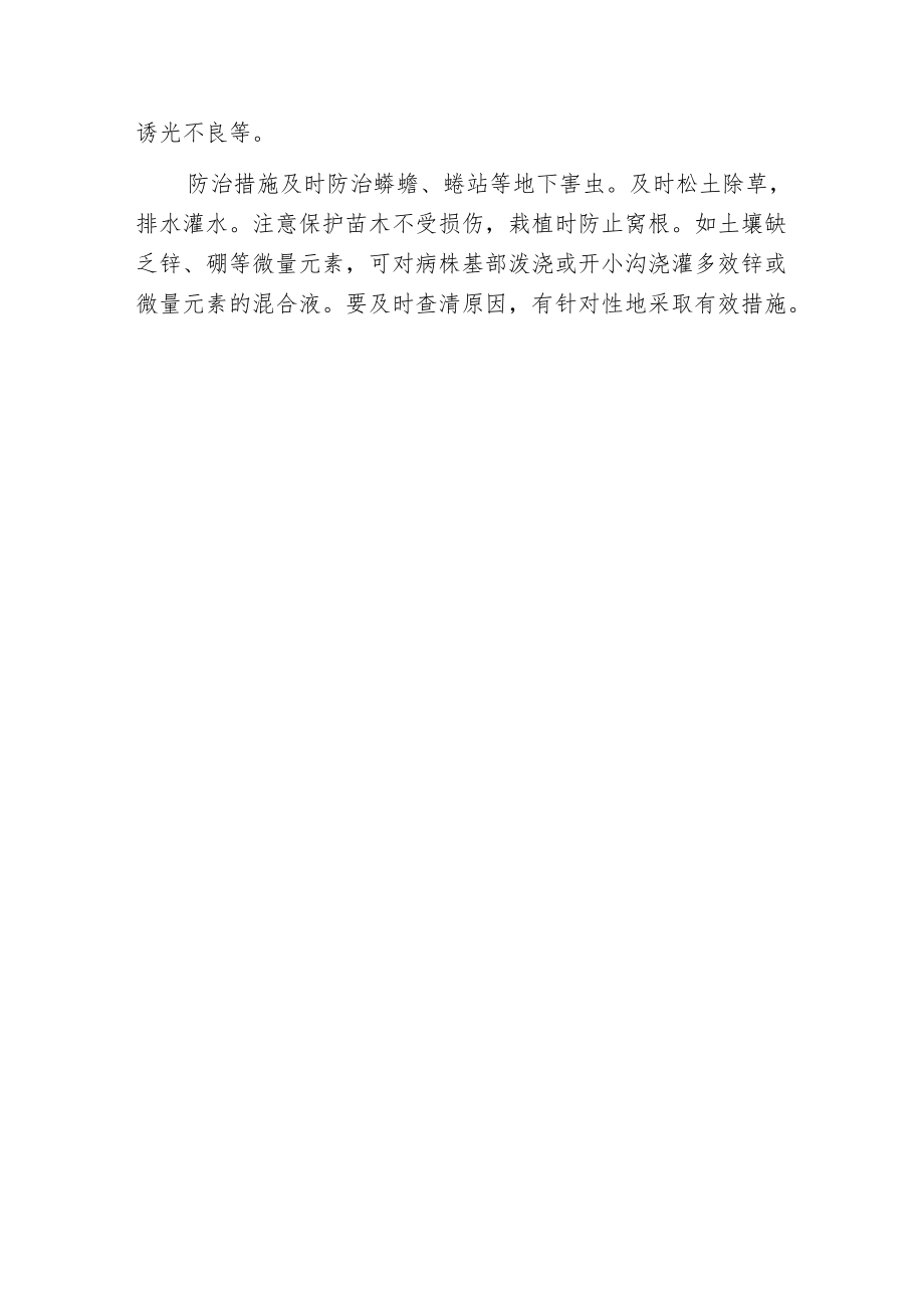 夏季银杏谨防三种病害及如何防治.docx_第3页