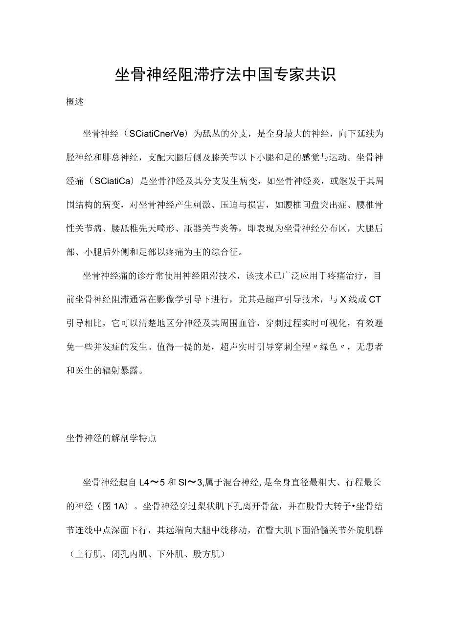 坐骨神经阻滞疗法中国专家共识.docx_第1页