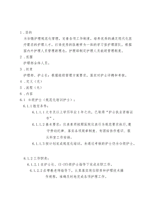 护士能级管理方案.docx