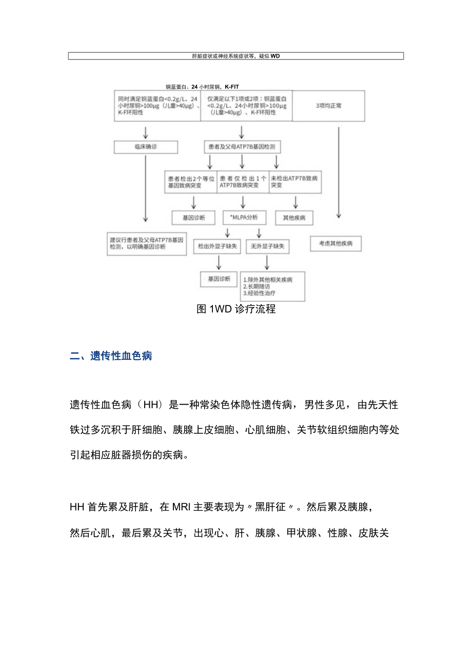 2022肝病科罕见疾病（全文）.docx_第2页