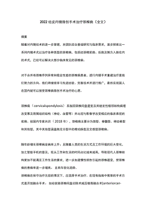 2022经皮内镜微创手术治疗颈椎病（全文）.docx