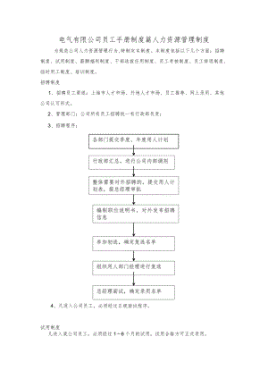 电气有限公司员工手册制度篇人力资源管理制度.docx