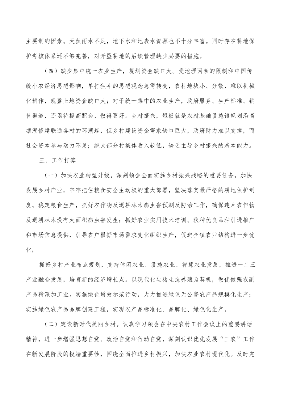 2022乡镇推进乡村振兴调研报告.docx_第2页