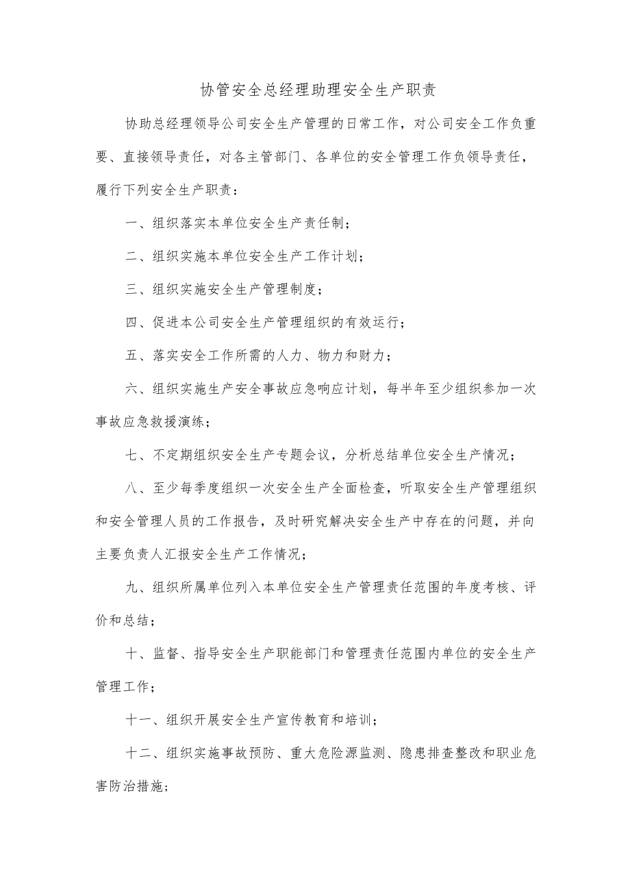 协管安全总经理助理安全生产职责.docx_第1页