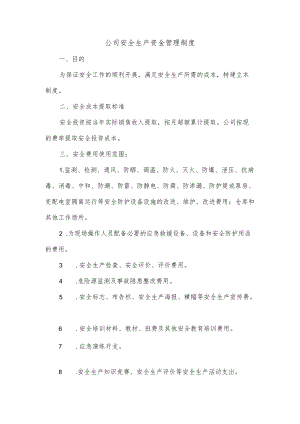 公司安全生产资金管理制度.docx