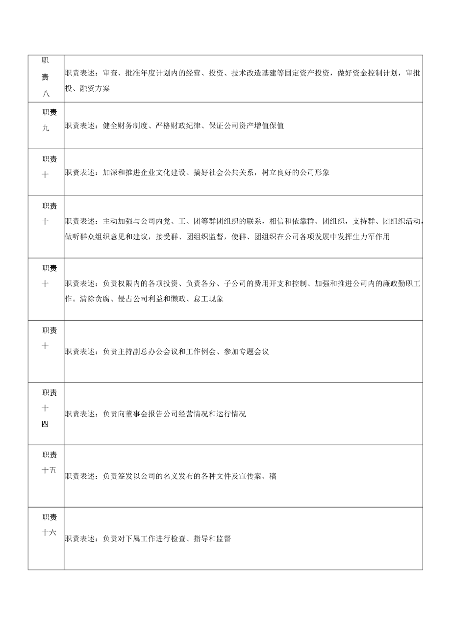 公司副总裁岗位说明书.docx_第2页