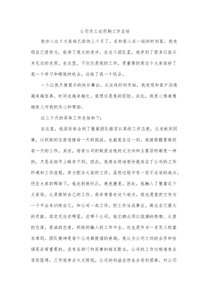 公司员工试用期工作总结.docx