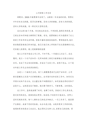 公司销售工作总结.docx