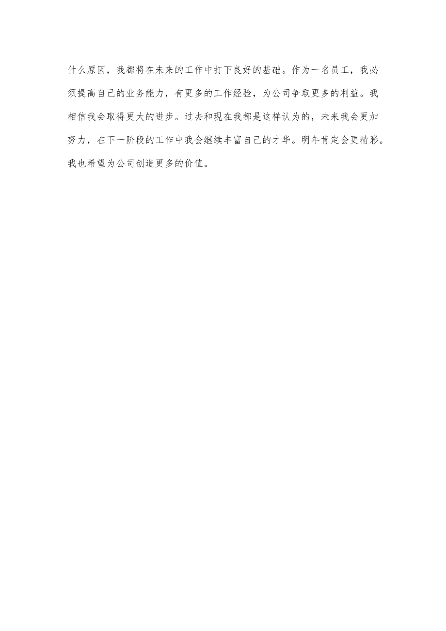 公司普通员工个人总结.docx_第2页