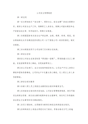 公司安全管理制度.docx