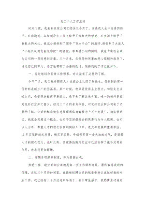 员工个人工作总结.docx