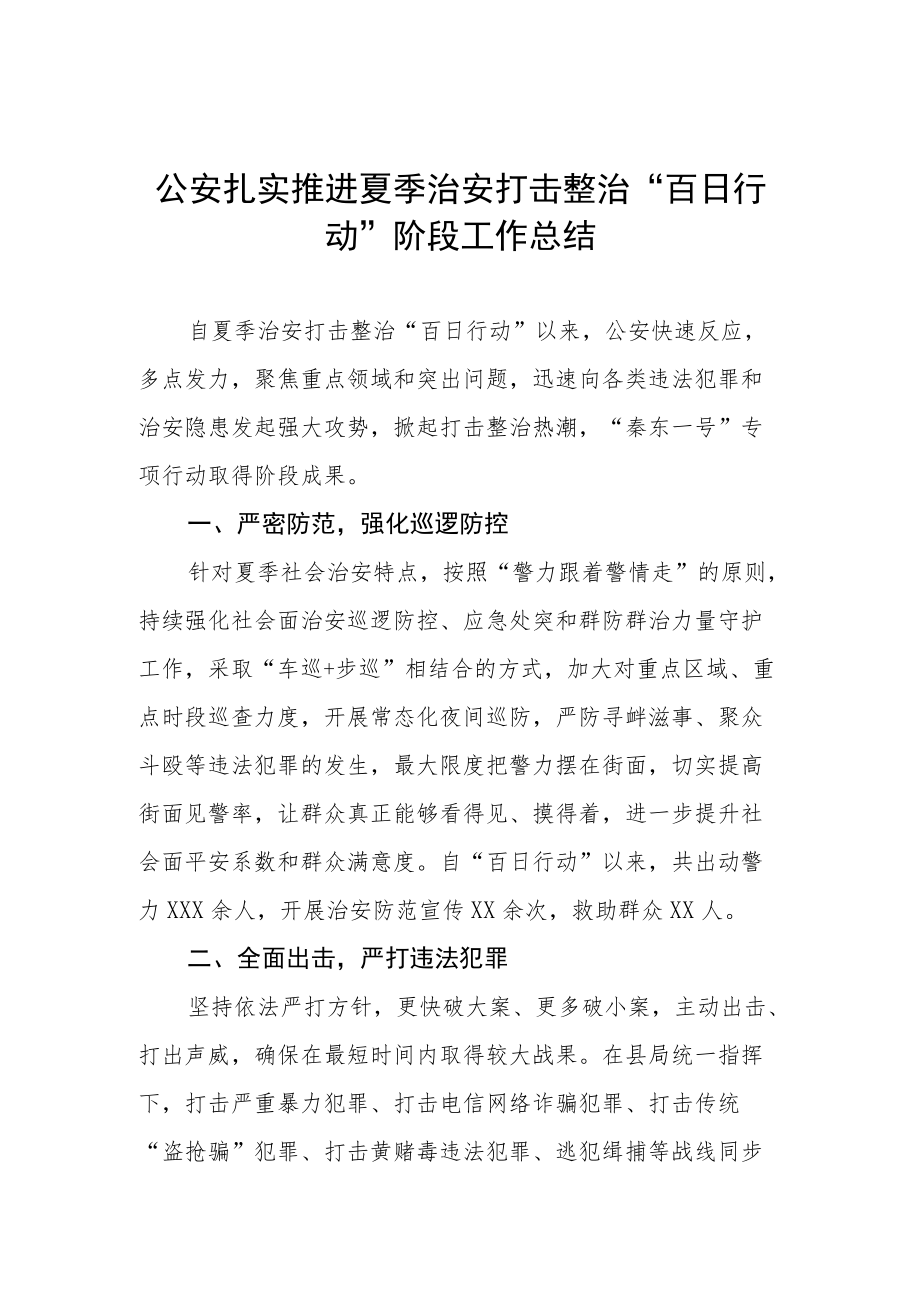 夏季治安打击整治百日行动工作总结.docx_第1页