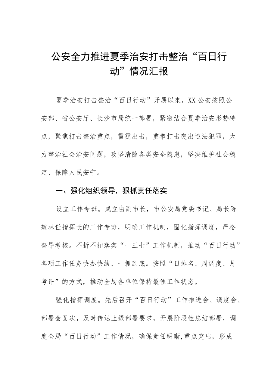 夏季治安打击整治百日行动工作总结 (三篇).docx_第1页