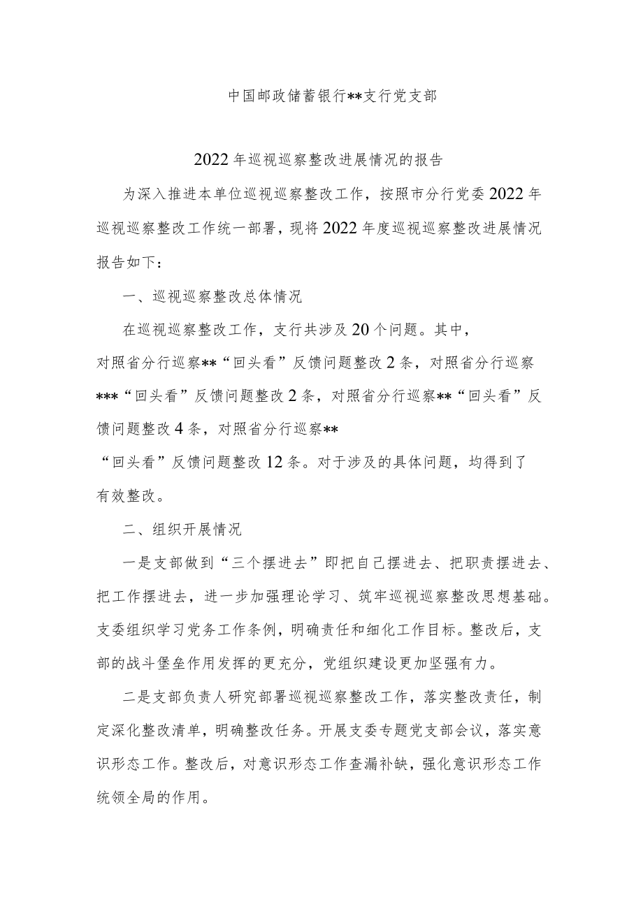 巡视巡察整改进展情况的报告.docx_第1页