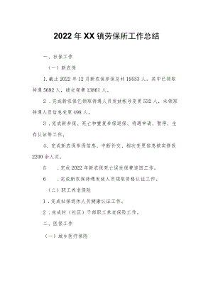 XX镇劳保所工作总结.docx