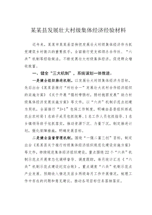 某某县发展壮大村级集体经济经验材料.docx