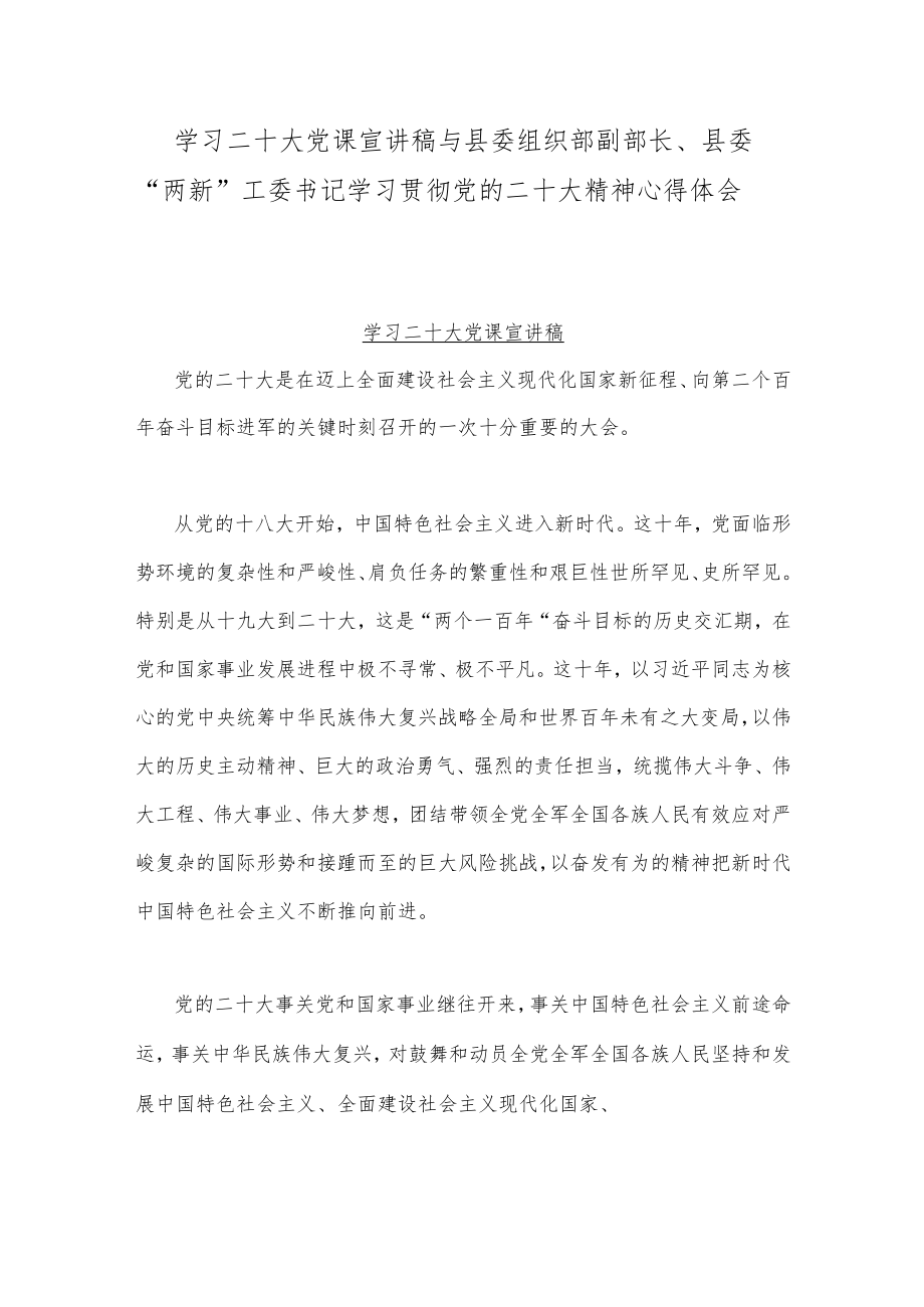 学习二十20大党课宣讲稿与县委组织部副部长、县委“两新”工委书记学习贯彻党的二十20大精神心得体会.docx_第1页