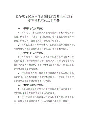 领导班子民主生活会某同志对其他同志的批评意见汇总二十四条.docx