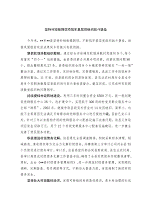 【经验总结】坚持补短板强弱项 筑牢基层党组织战斗堡垒.docx