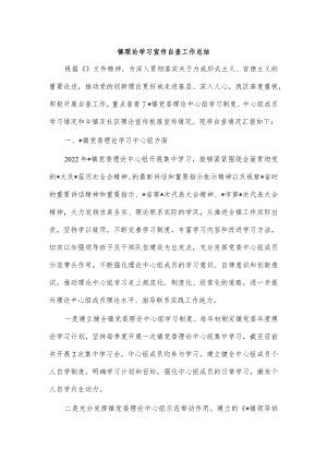 镇理论学习宣传自查工作总结.docx