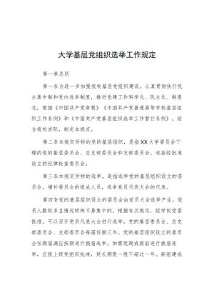 大学基层党组织选举工作规定.docx