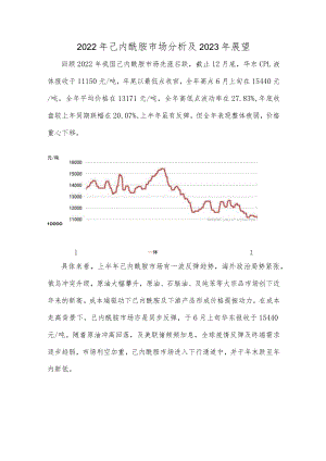 2022年己内酰胺市场分析及及2023年展望.docx