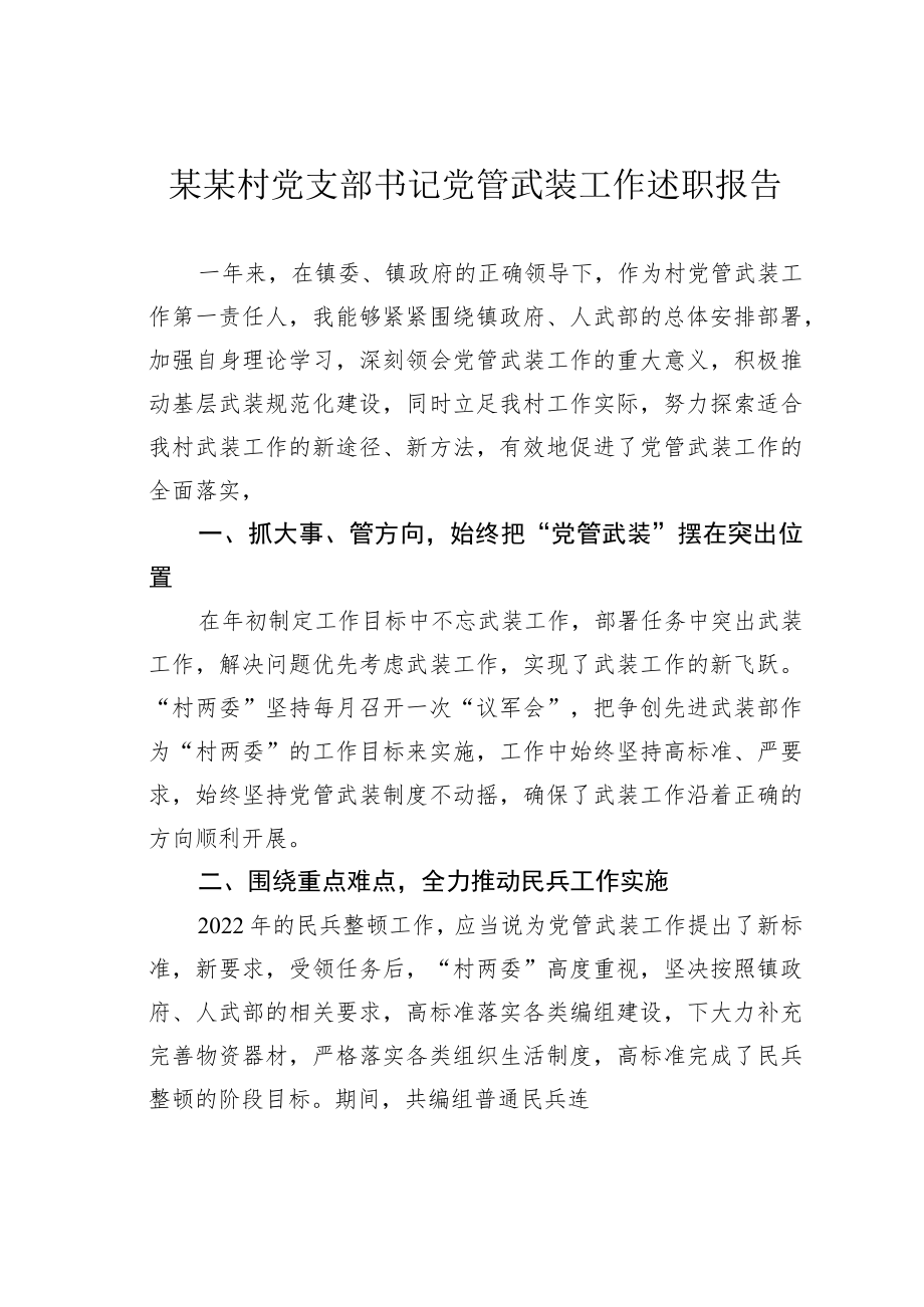 某某村党支部书记党管武装工作述职报告.docx_第1页