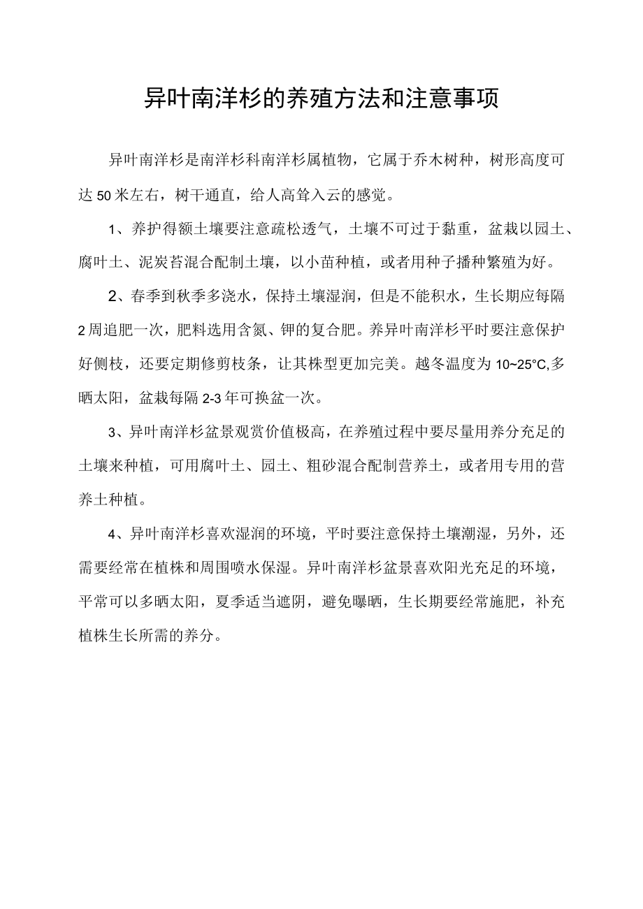 异叶南洋杉的养殖方法和注意事项.docx_第1页