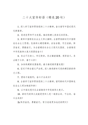 二十大宣传标语(精选20句).docx