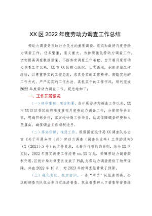 XX区2022年度劳动力调查工作总结.docx