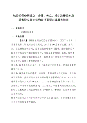 融资担保公司设立、合并、分立、减少注册资本及跨省设立分支机构审批事项办理服务指南.docx