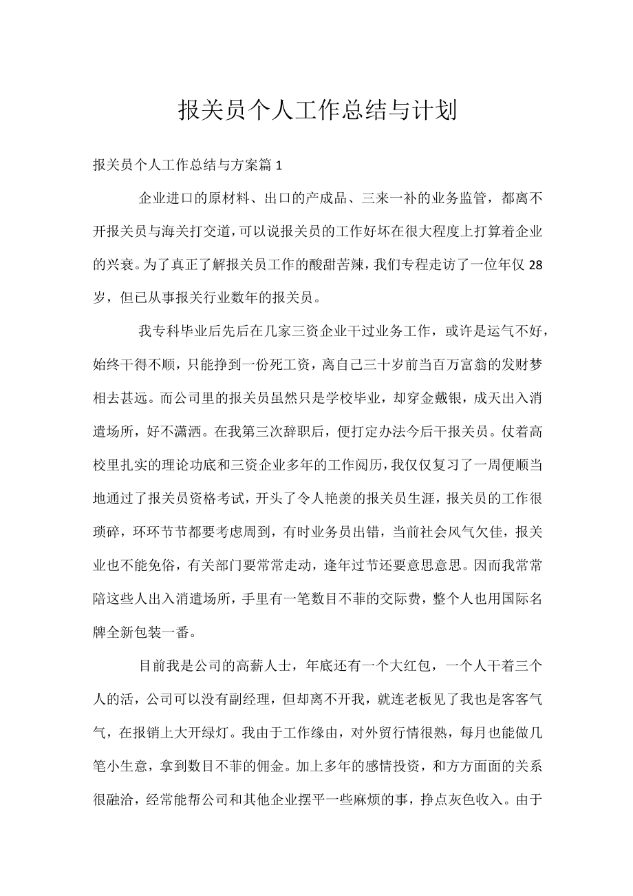 报关员个人工作总结与计划.docx_第1页