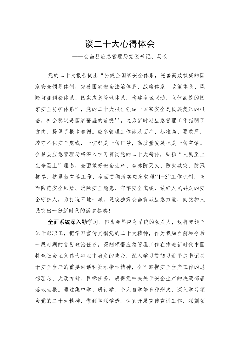 应急管理局学习党的二十大精神心得体会汇编（10篇）.docx_第2页