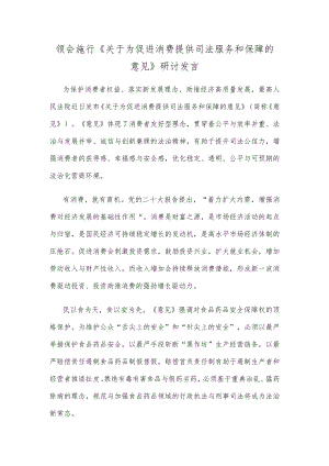 领会施行《关于为促进消费提供司法服务和保障的意见》研讨发言.docx