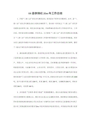 xx县供销社20xx年工作总结.docx