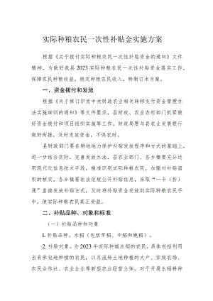 实际种粮农民一次性补贴金实施方案.docx