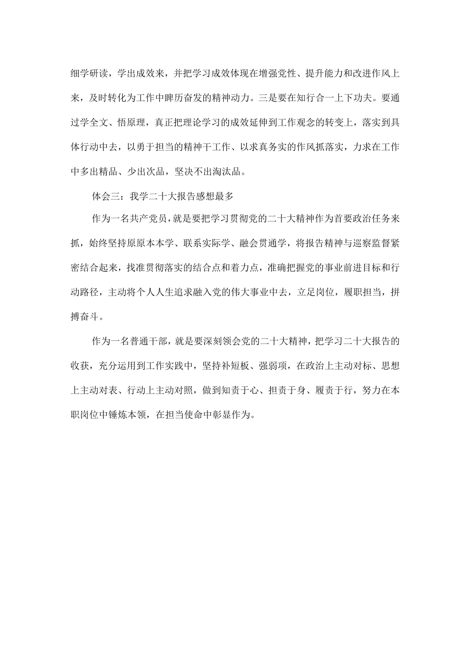 学习党的二十大报告有感.docx_第2页