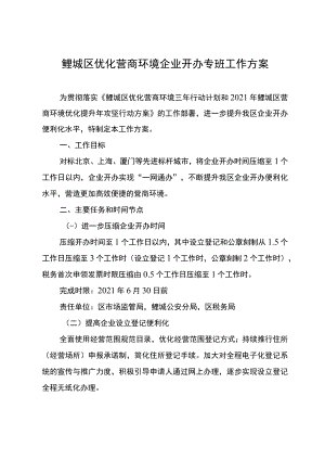 鲤城区优化营商环境企业开办专班工作方案.docx