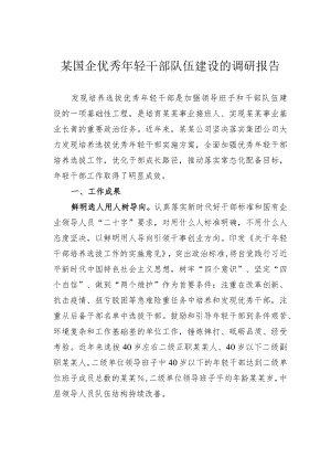 某国企优秀年轻干部队伍建设的调研报告.docx