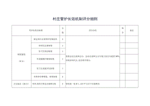 村庄管护长效机制评分细则.docx