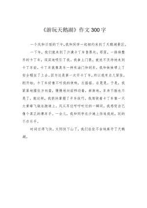 《游玩天鹅湖》作文300字.docx